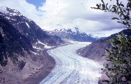 THE SALMON GLACIER