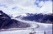 THE SALMON GLACIER