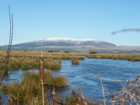 GALLOWAY HILLS AND THE HEAD OF WIGTOWN BAY
