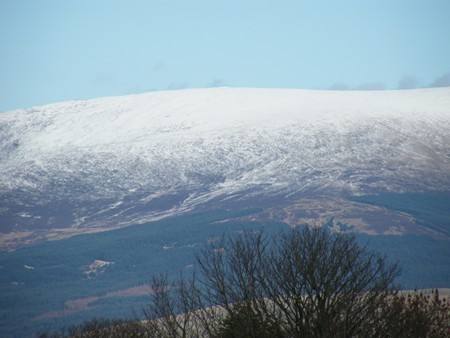 THE GALLOWAY HILLS THE GALLOWAY HILLS