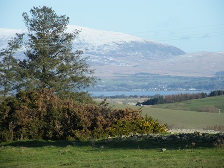 THE GALLOWAY HILLS