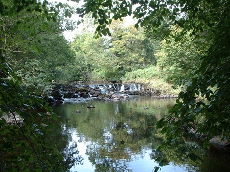 TAKEN ON THE ROAD TO GLEN TROOL