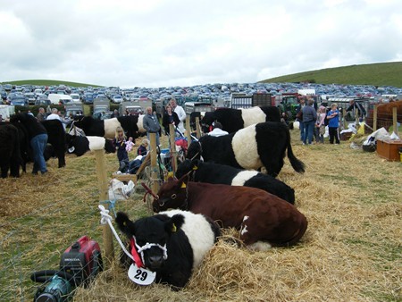 A  SCENE AT THE WIGTOWN SHOW