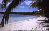 WHITE SANDY BEACH IN THE CHAGOS ISLANDS