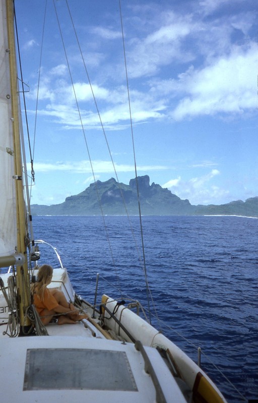 blue_spurr_bora_bora.jpg