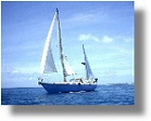 YACHT BLUE SPURR